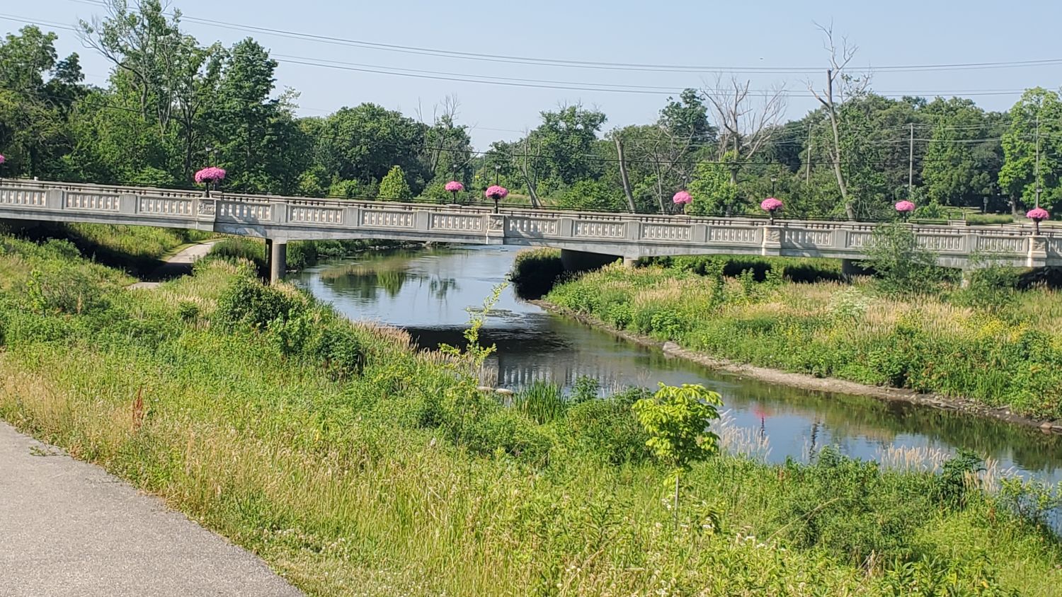 Warrenville Grove Forest Preserve 